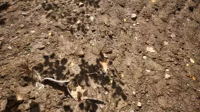 Soil 06 - Scanned Materials Textures