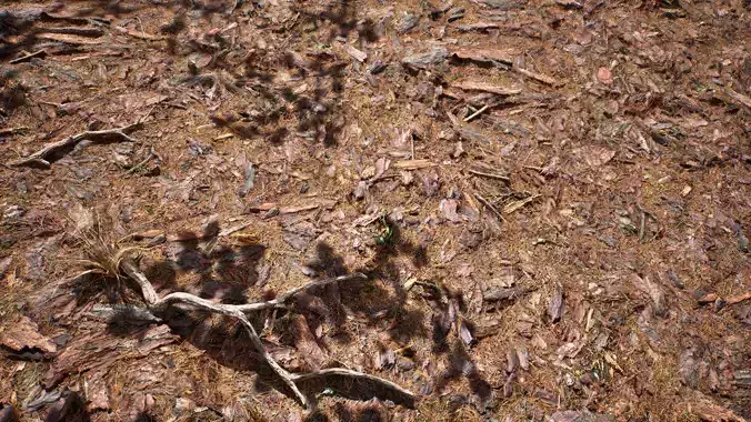 Soil 08 - Scanned Materials Textures