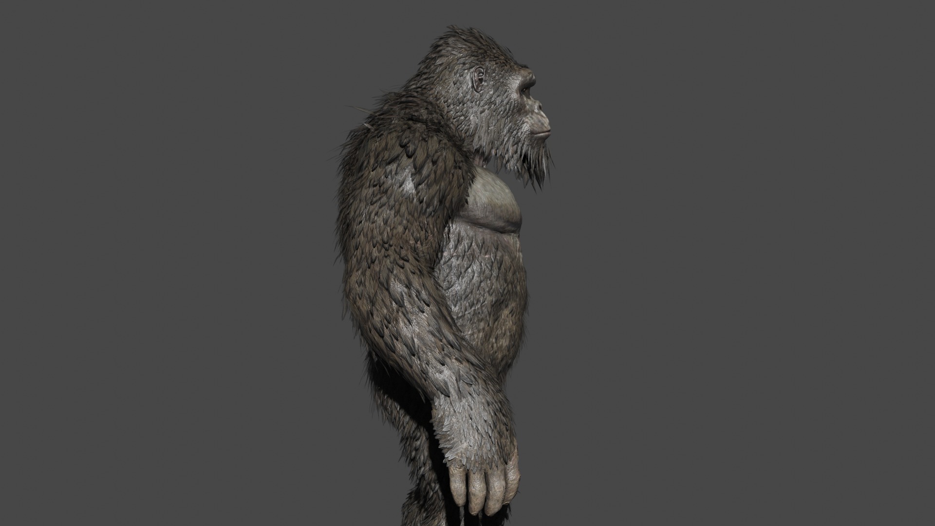 King kong Low-poly 3D model_3