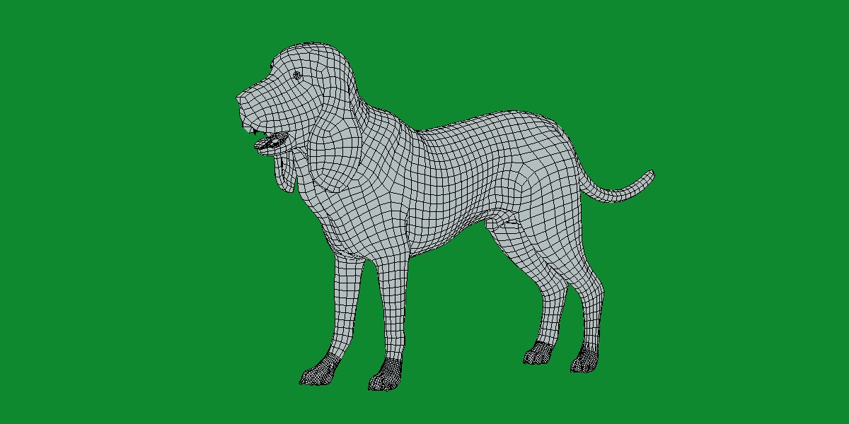 Bloodhound Dog Low-poly 3D model_25