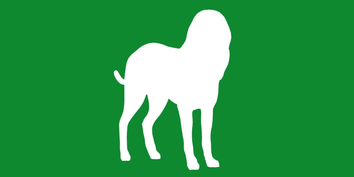 Bloodhound Dog Low-poly 3D model_6