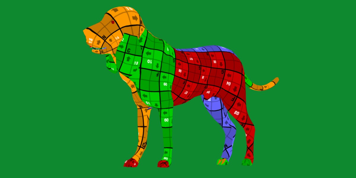 Bloodhound Dog Low-poly 3D model_13