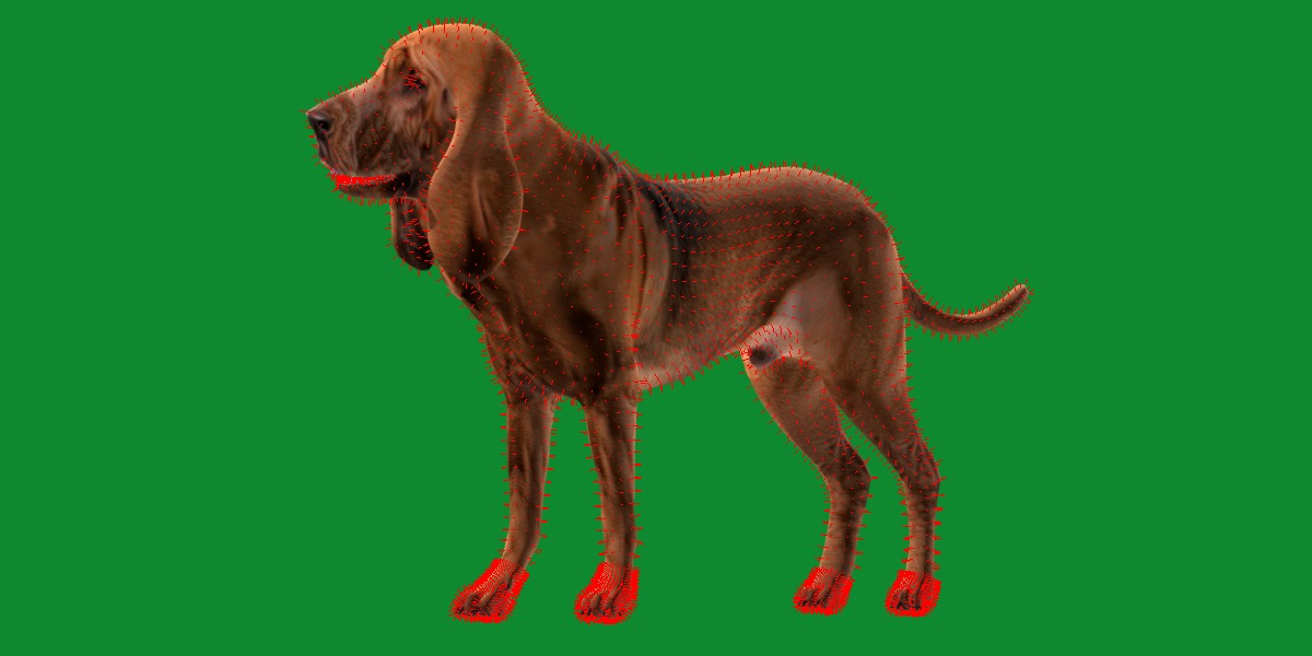 Bloodhound Dog Low-poly 3D model_12