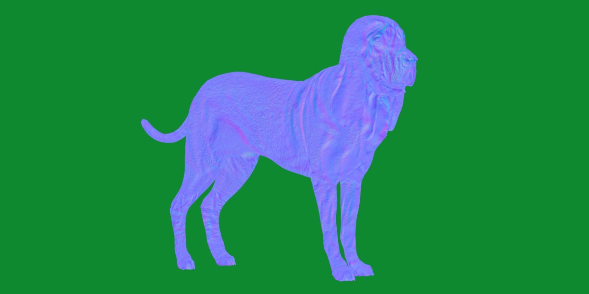 Bloodhound Dog Low-poly 3D model_7