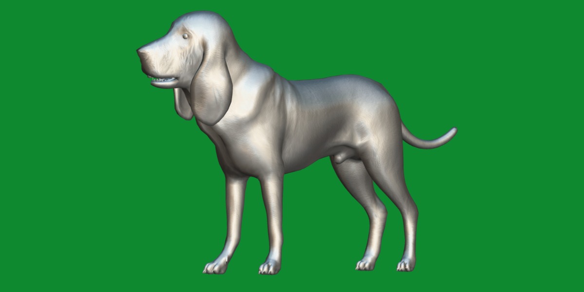 Bloodhound Dog Low-poly 3D model_11