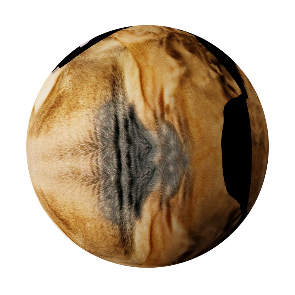 Bloodhound Dog Low-poly 3D model_39