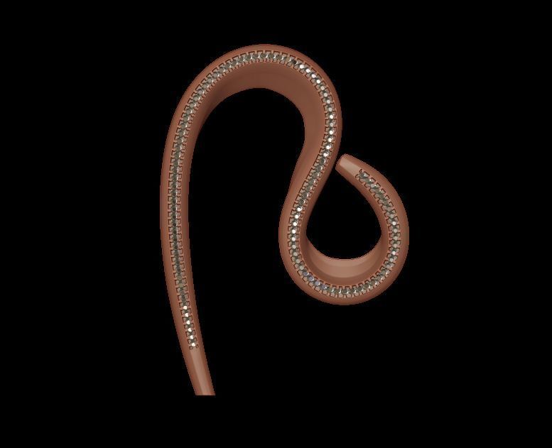 Elegant Curve Earrings 3D print model_1