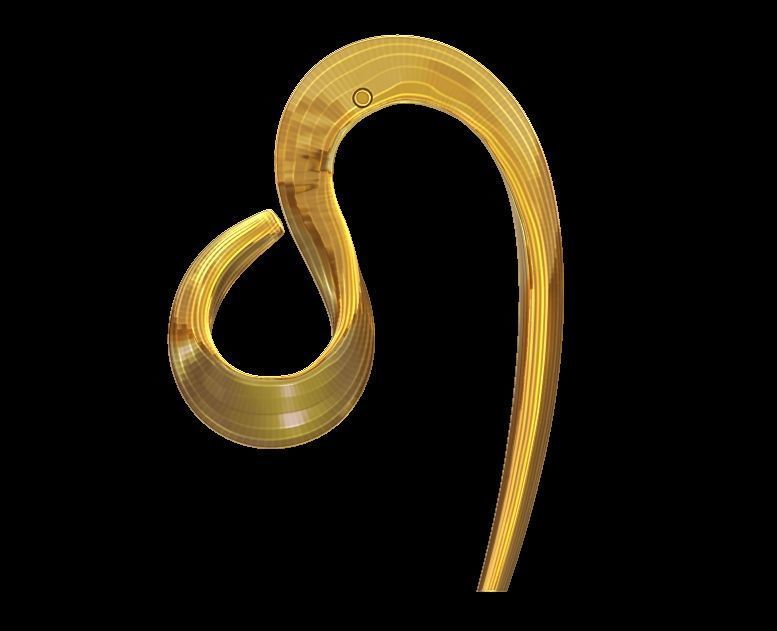 Elegant Curve Earrings 3D print model_8
