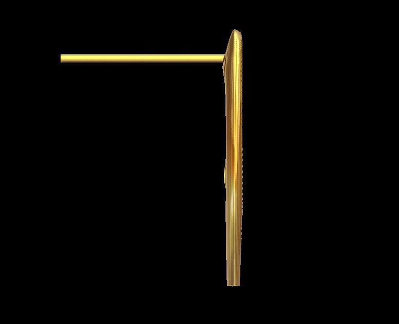 Elegant Curve Earrings 3D print model_16