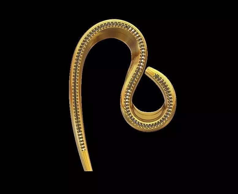 Elegant Curve Earrings 3D print model_0