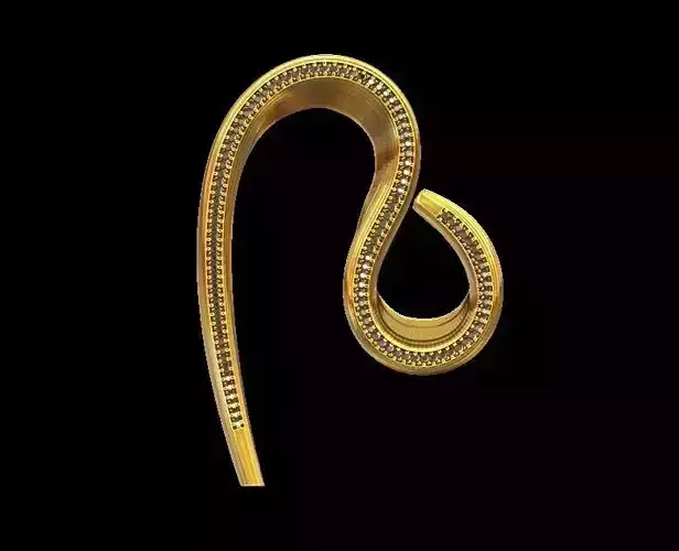 Elegant Curve Earrings
