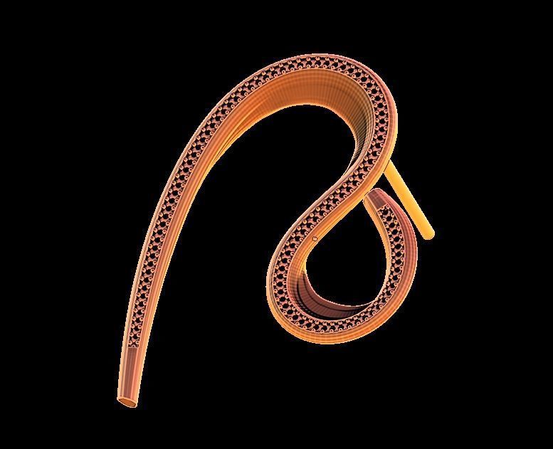 Elegant Curve Earrings 3D print model_18