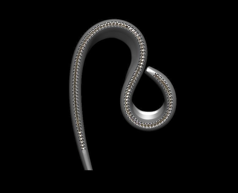 Elegant Curve Earrings 3D print model_11