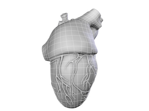 Heart human 3D model_12