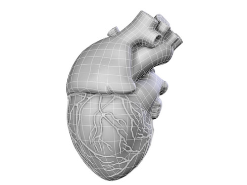 Heart human 3D model_13