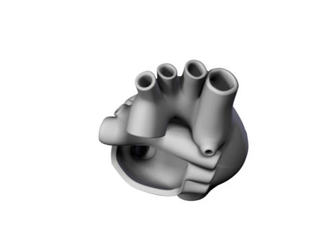 Heart human 3D model_24