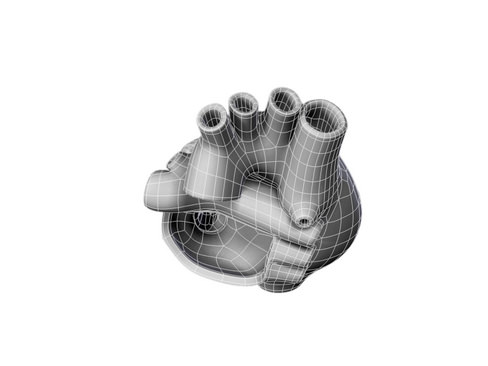 Heart human 3D model_29