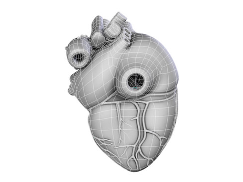 Heart human 3D model_10