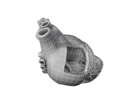 Heart human 3D model_31