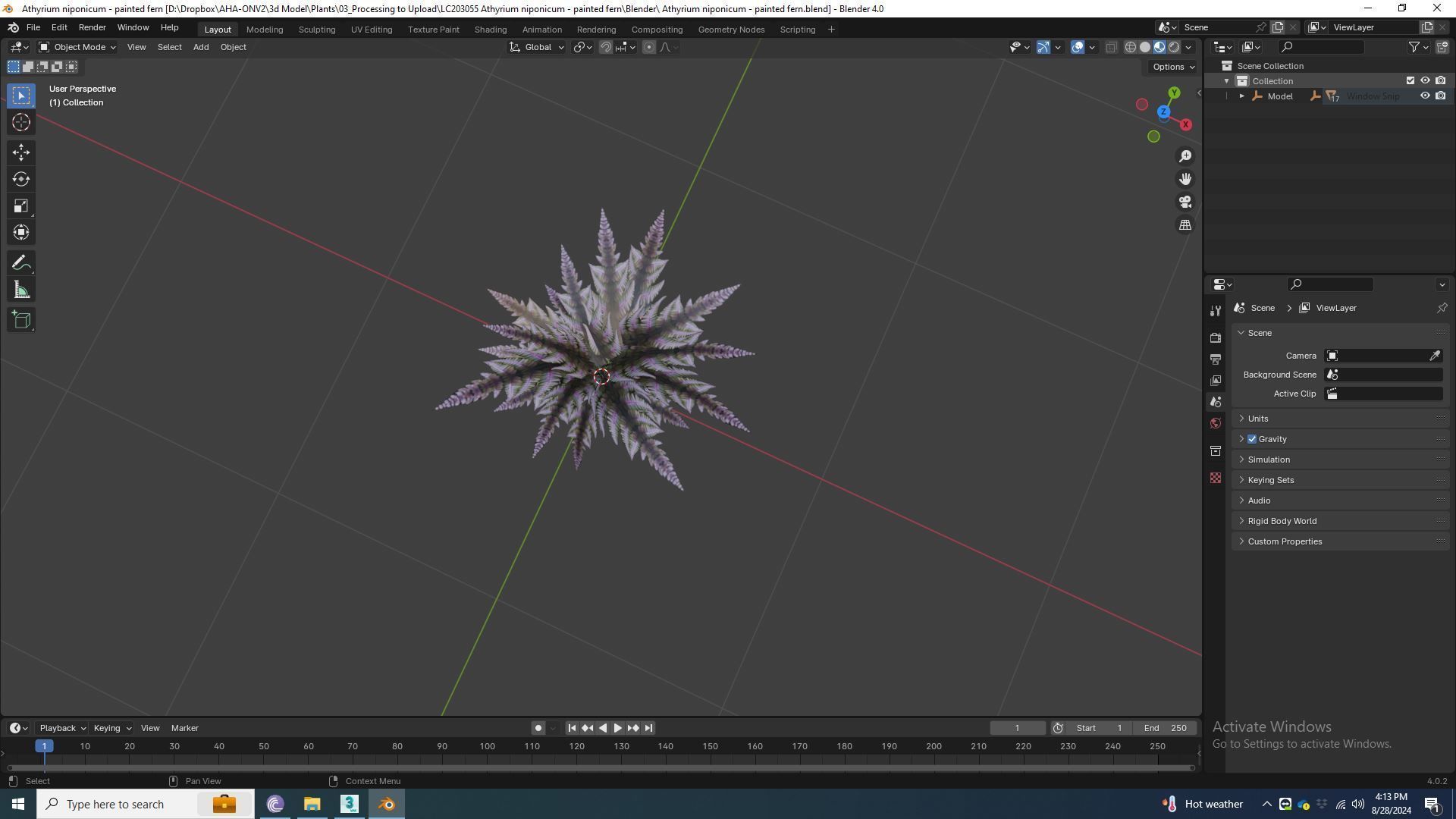 Athyrium niponicum - painted fern   Low-poly 3D model_5