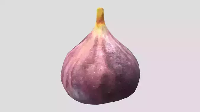 Fig Low Poly Low-poly 3D model
