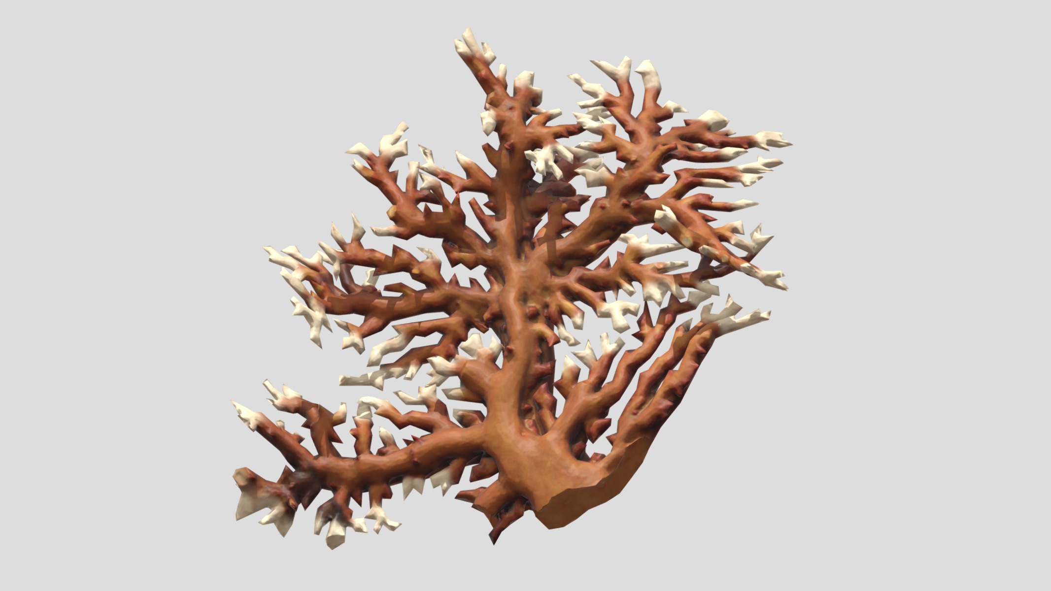 Fire coral Low Poly Low-poly 3D model_10