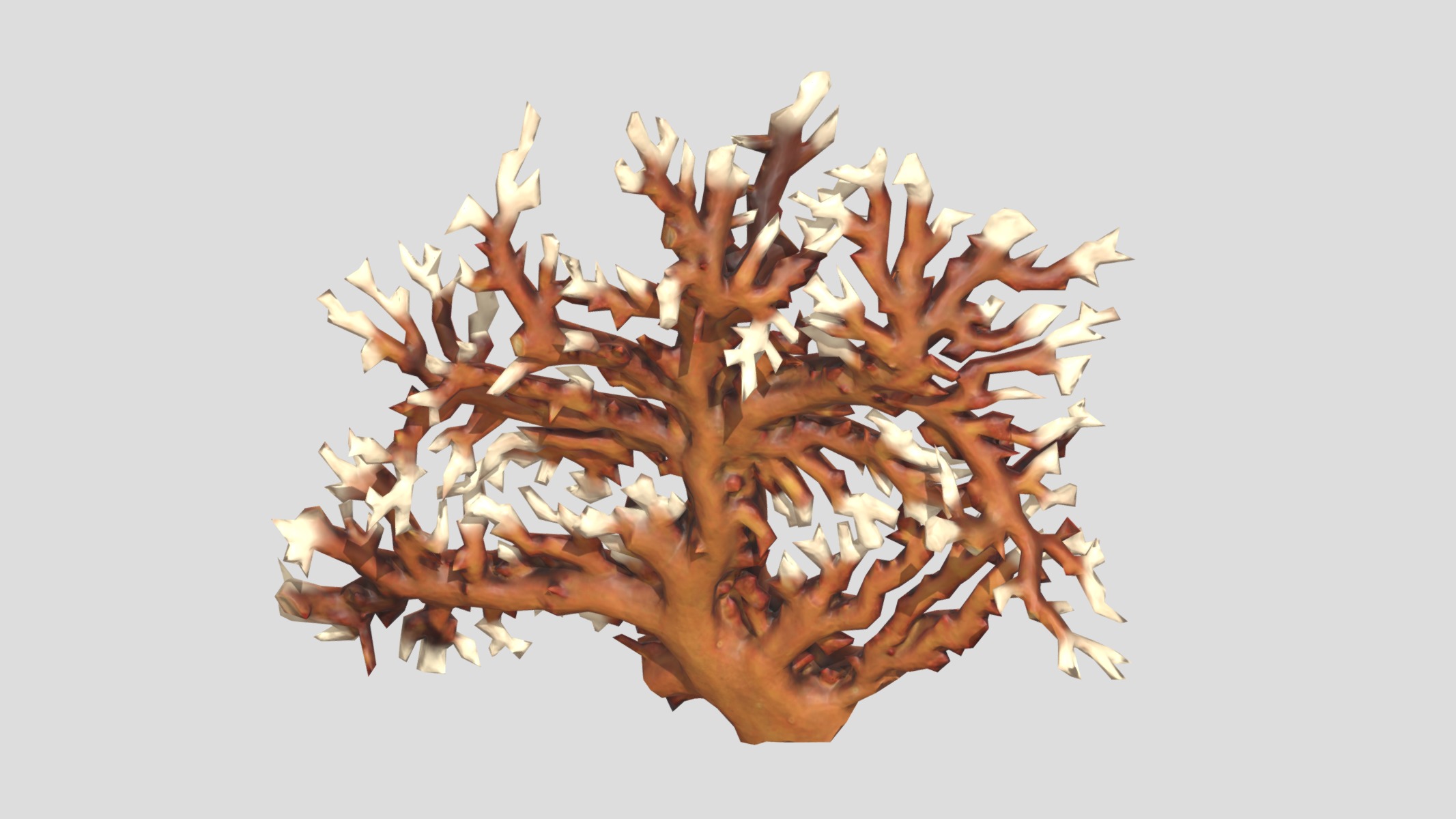 Fire coral Low Poly Low-poly 3D model_8