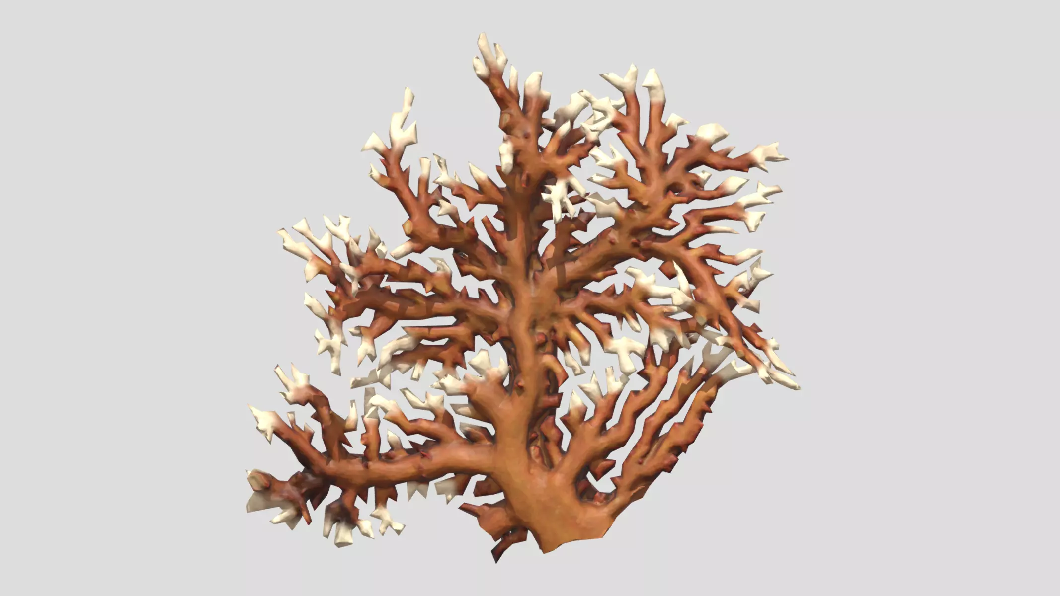 Fire coral Low Poly Low-poly 3D model_0