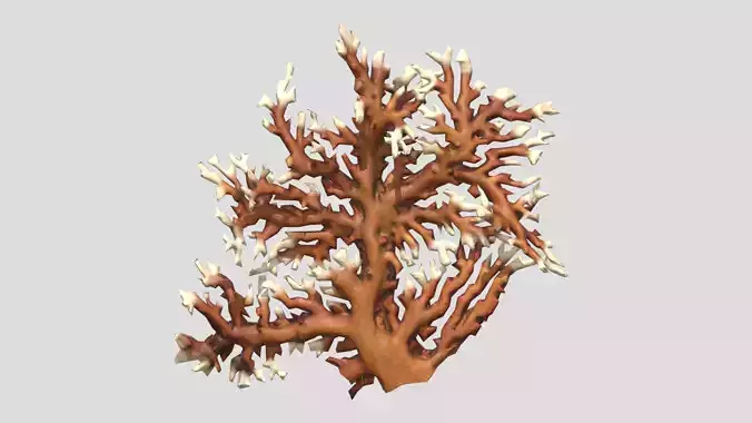 Fire coral Low Poly Low-poly 3D model