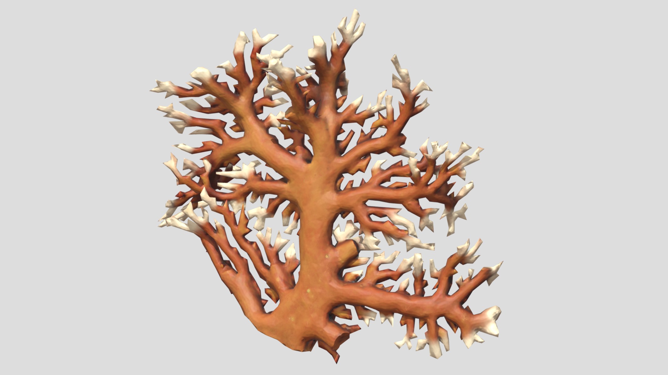 Fire coral Low Poly Low-poly 3D model_6