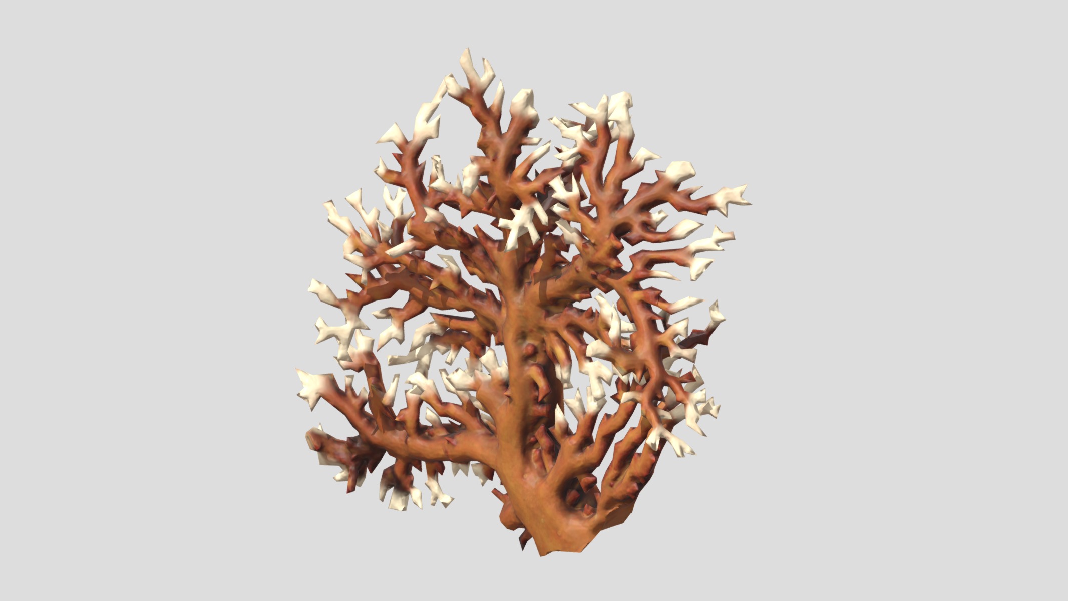 Fire coral Low Poly Low-poly 3D model_4