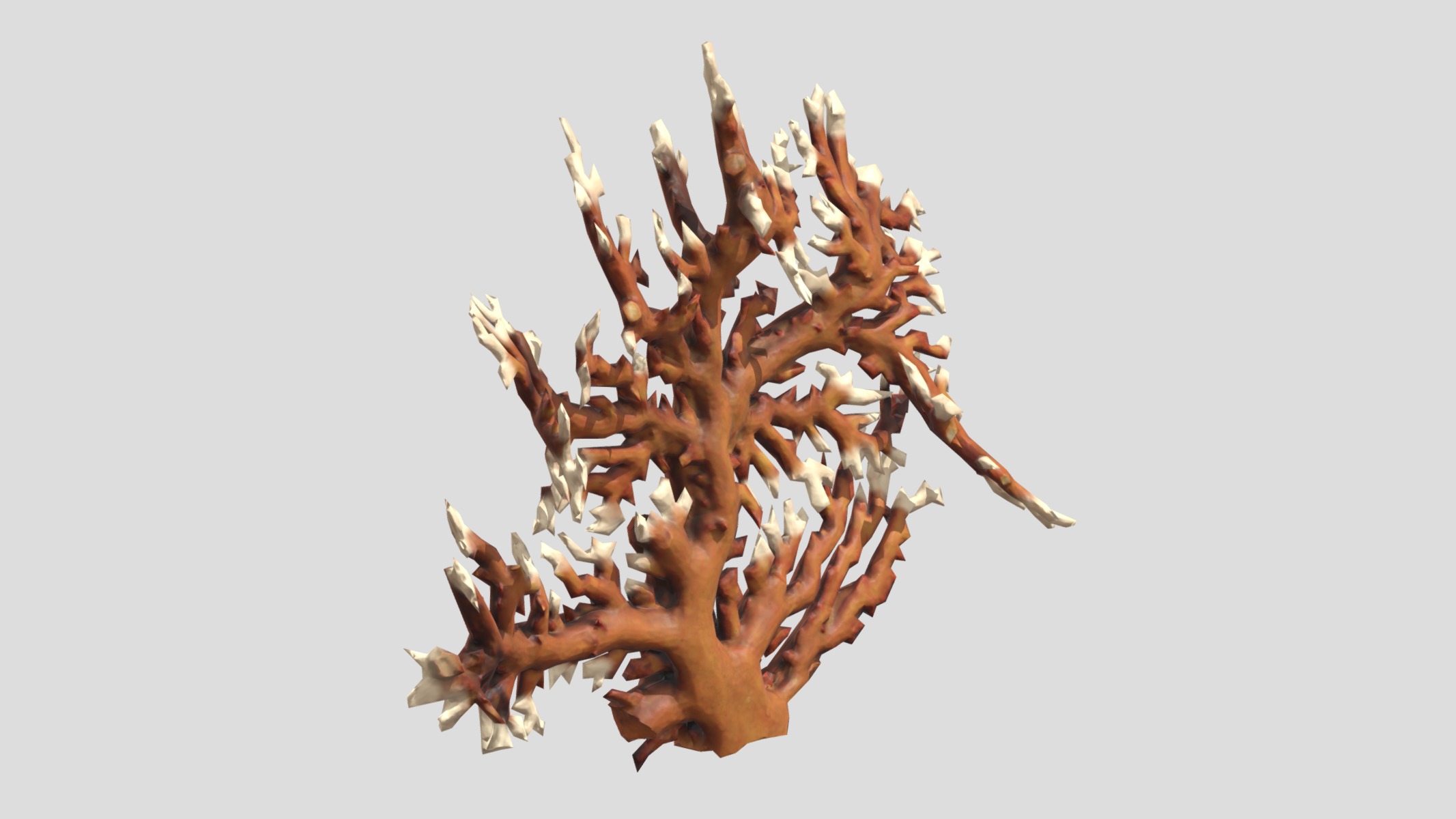 Fire coral Low Poly Low-poly 3D model_2