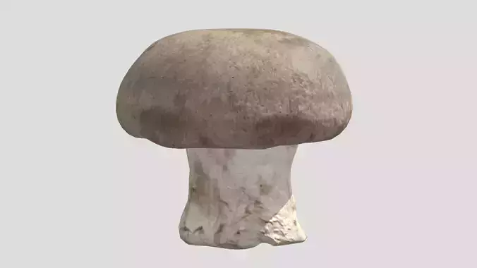 Fresh Mushroom 01 Low Poly