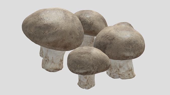 Fresh Mushroom 2 Low Poly Low-poly 3D model 7