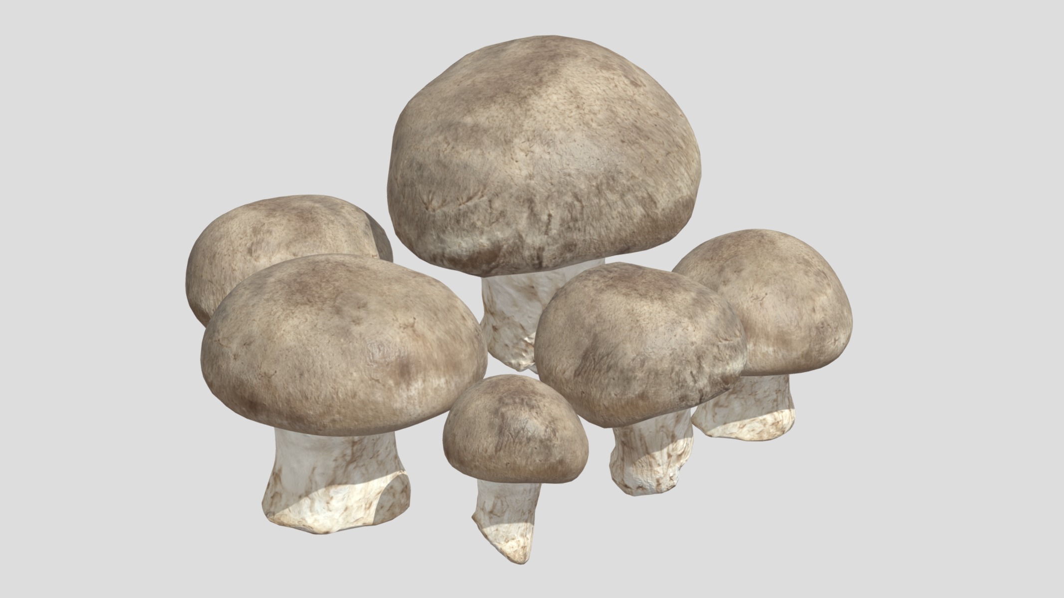 Fresh Mushroom 2 Low Poly Low-poly 3D model_4