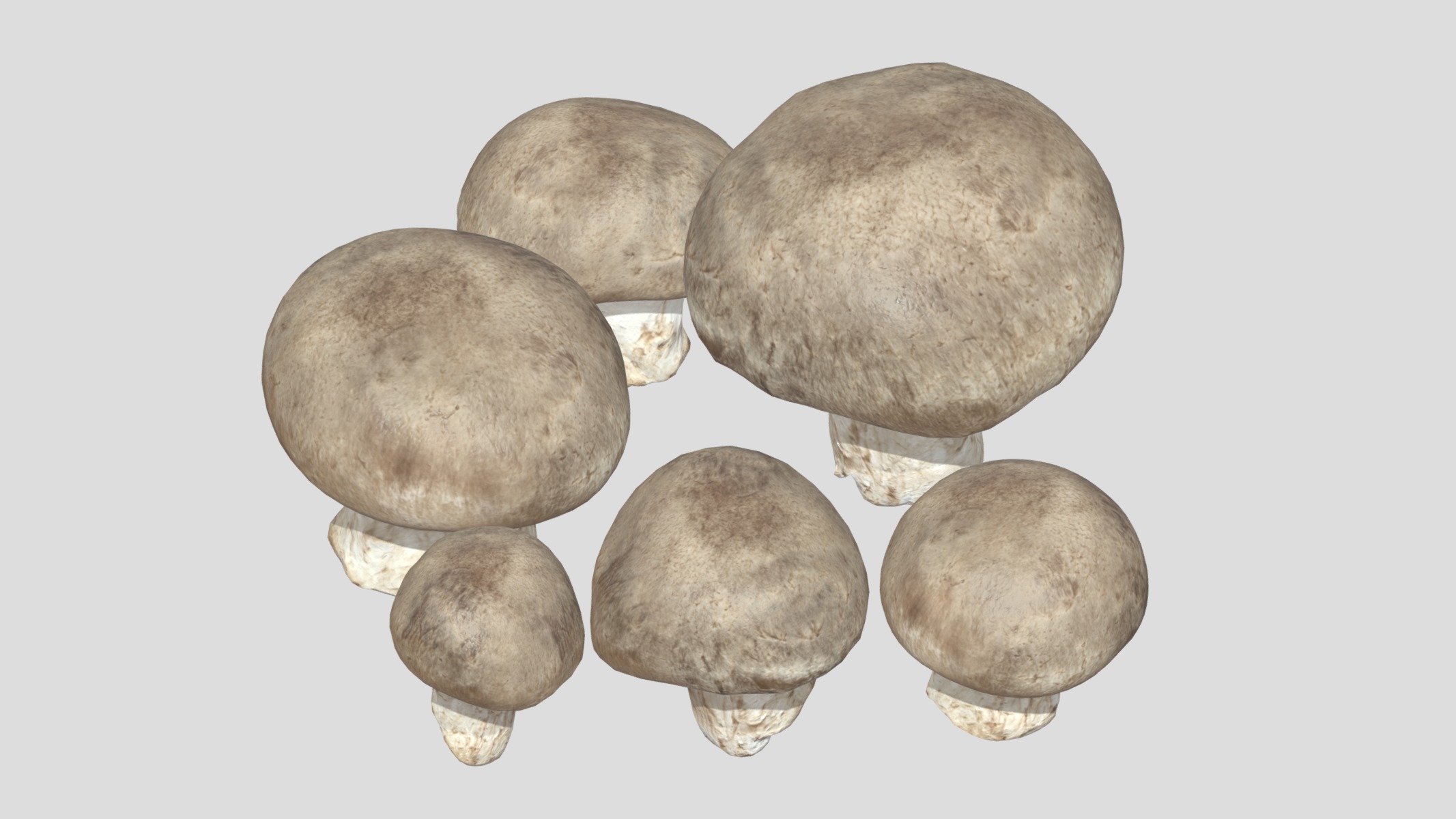 Fresh Mushroom 2 Low Poly Low-poly 3D model_9