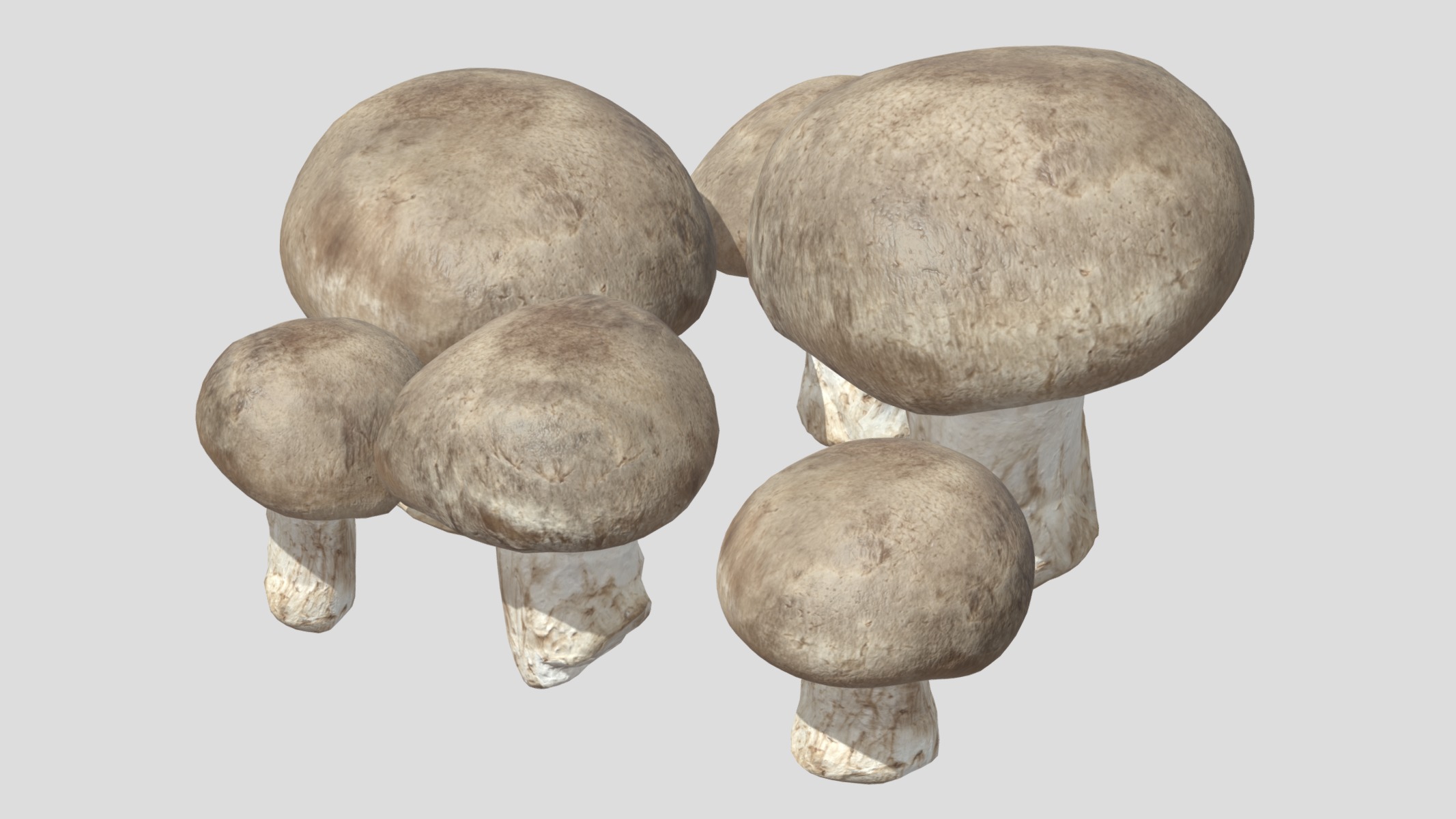 Fresh Mushroom 2 Low Poly Low-poly 3D model_2