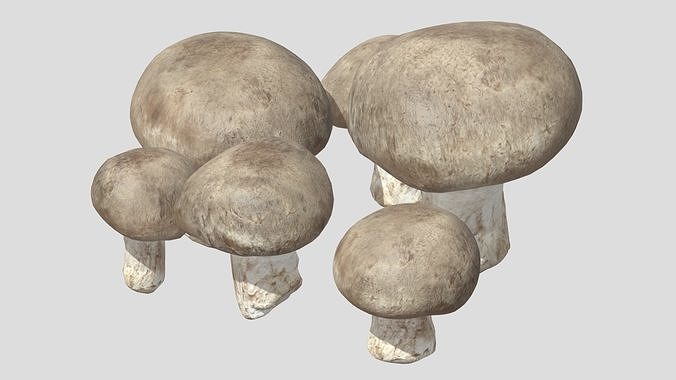 Fresh Mushroom 2 Low Poly Low-poly 3D model 3