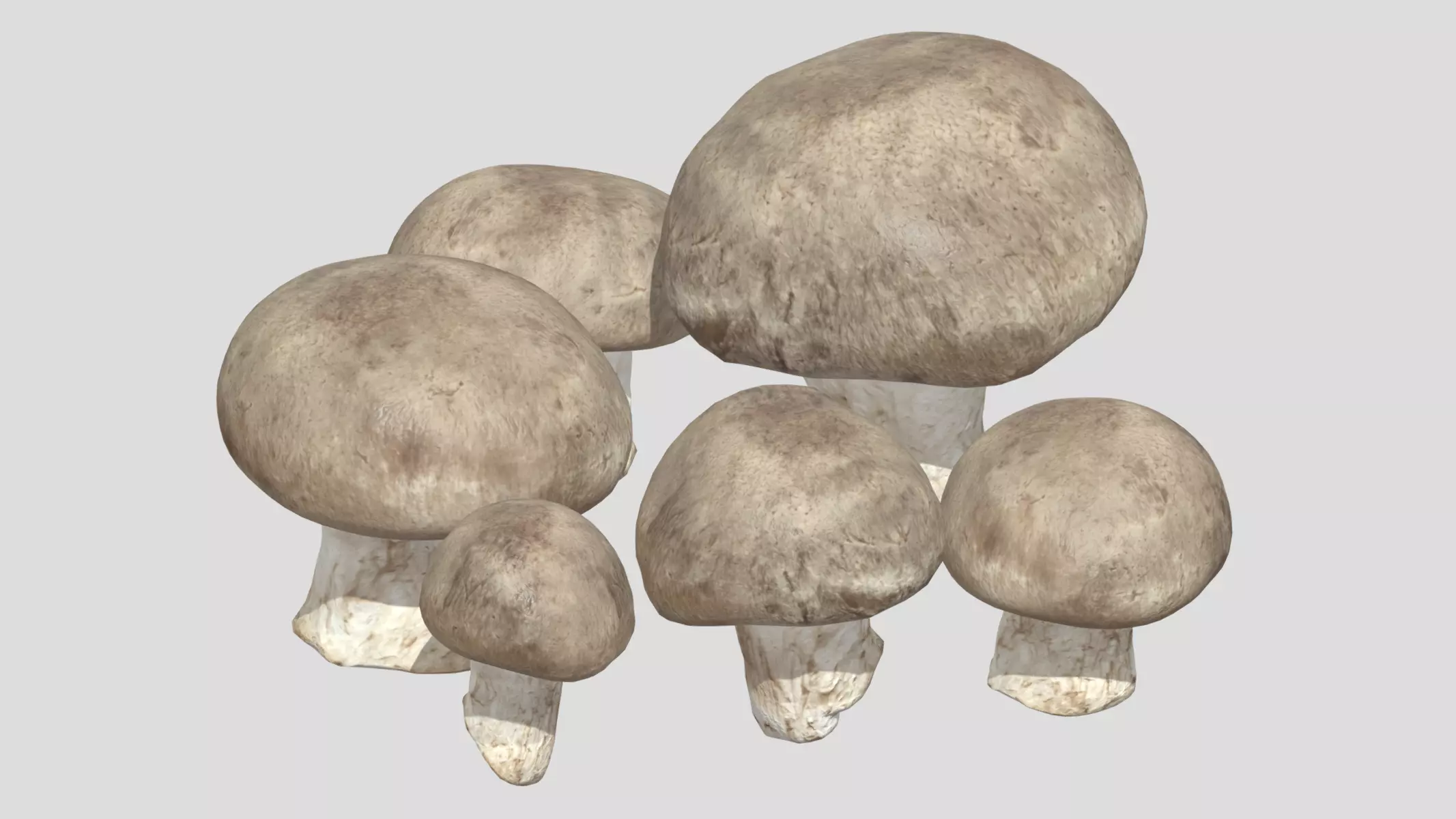 Fresh Mushroom 2 Low Poly Low-poly 3D model_0