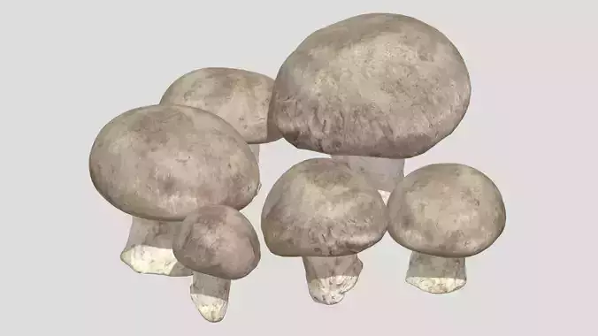 Fresh Mushroom 2 Low Poly
