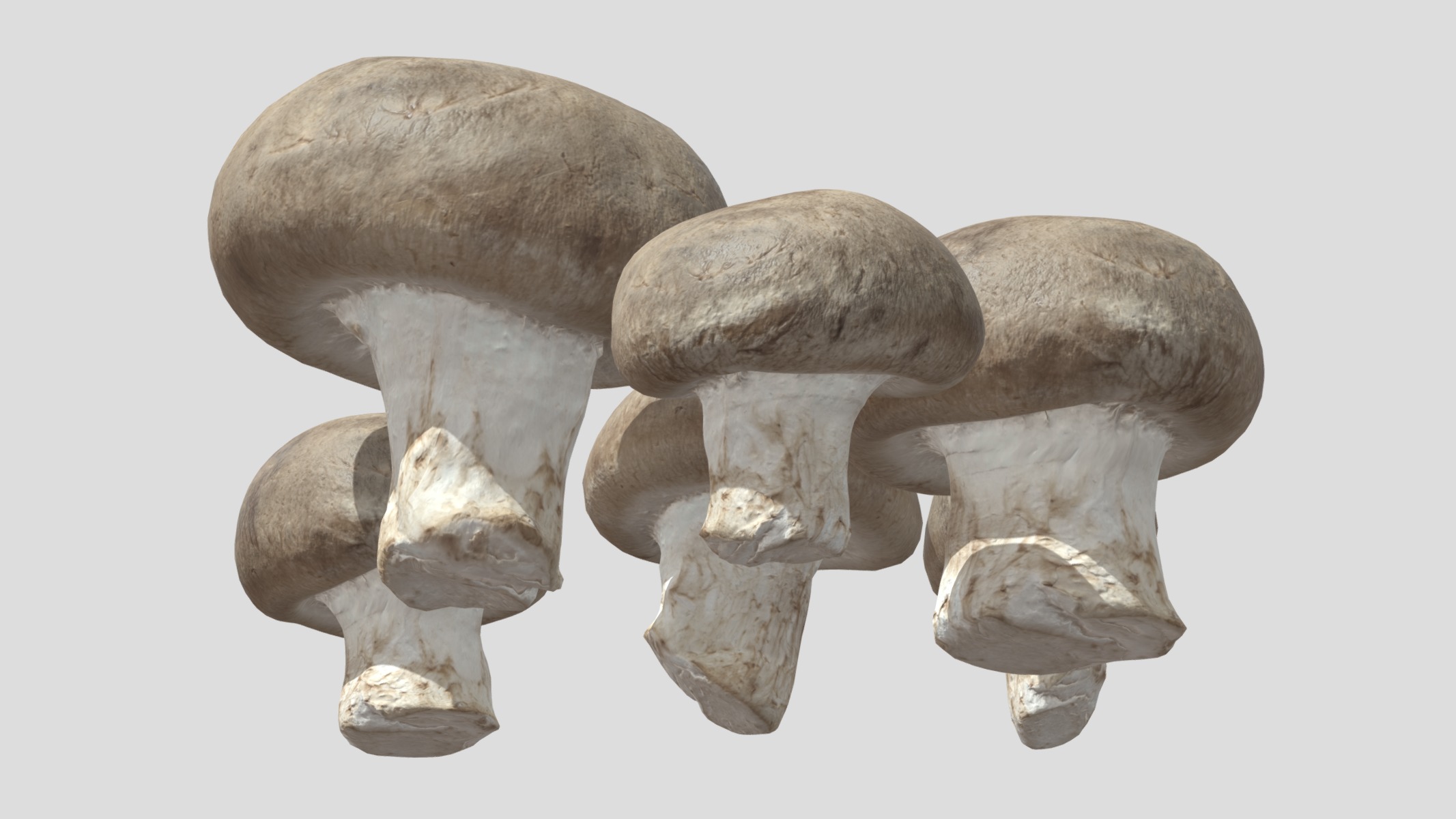 Fresh Mushroom 2 Low Poly Low-poly 3D model_10