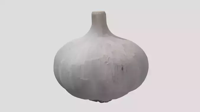 Garlic Low Poly
