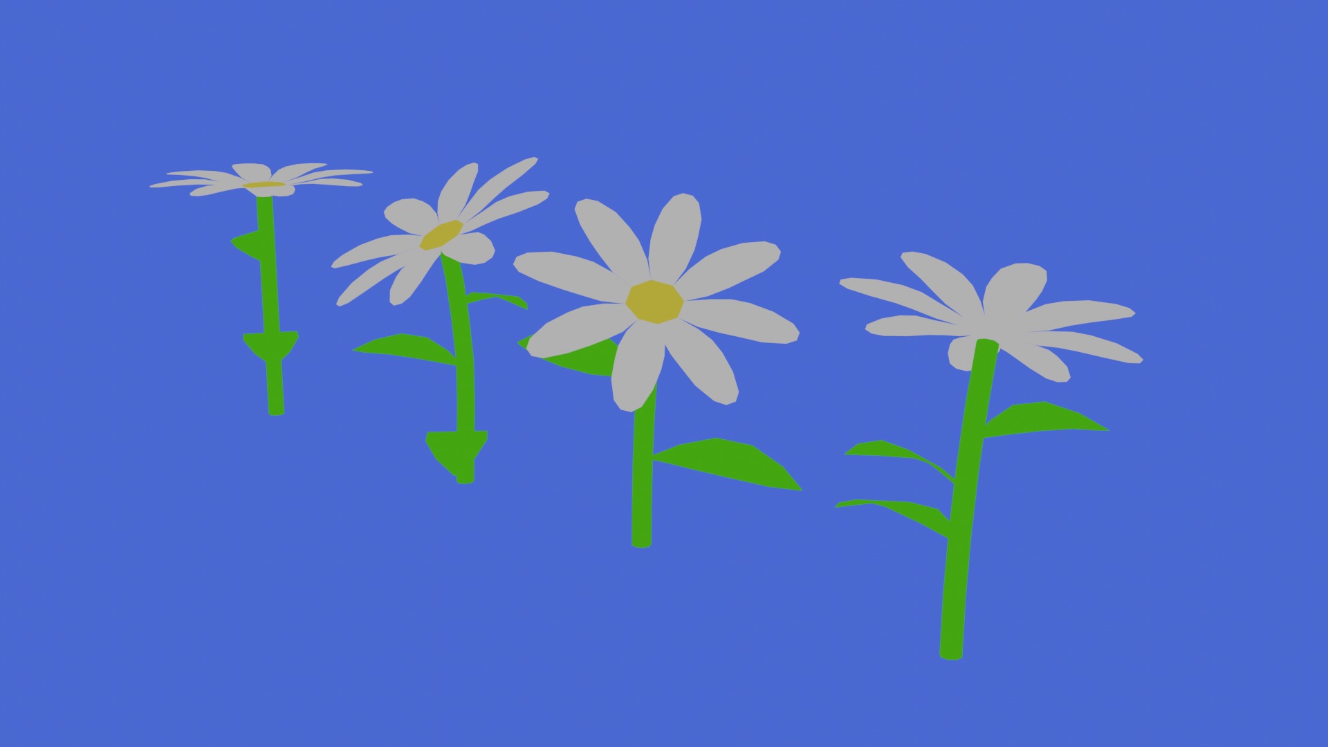 flower 1 3D model_2