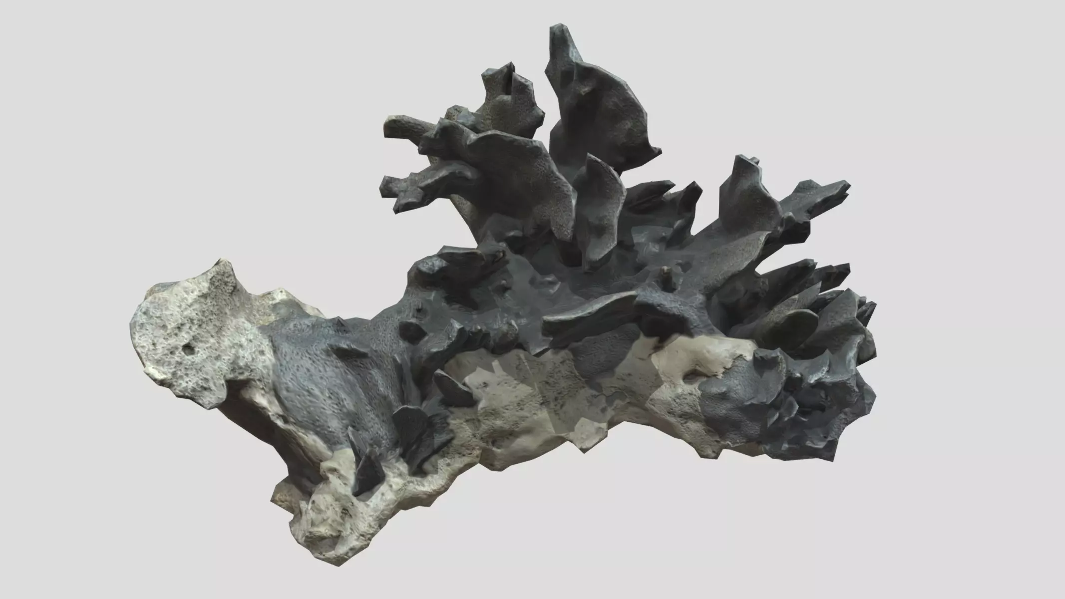 Heliopora Coerulea Coral Low Poly Low-poly 3D model