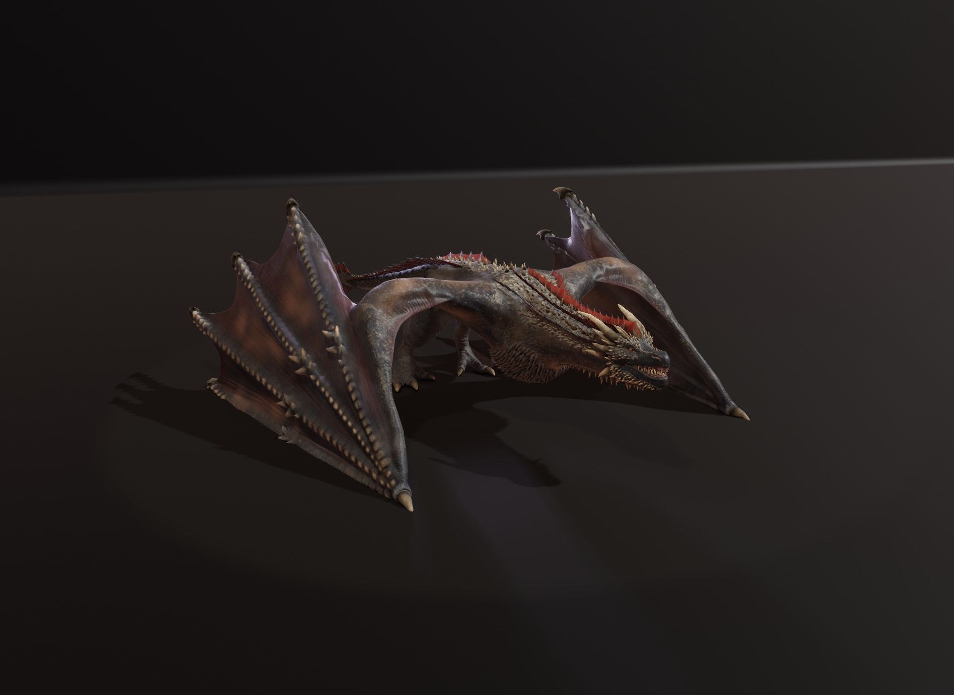 Realistic Black Wyvern Animated 3D Model Low-poly 3D model_9