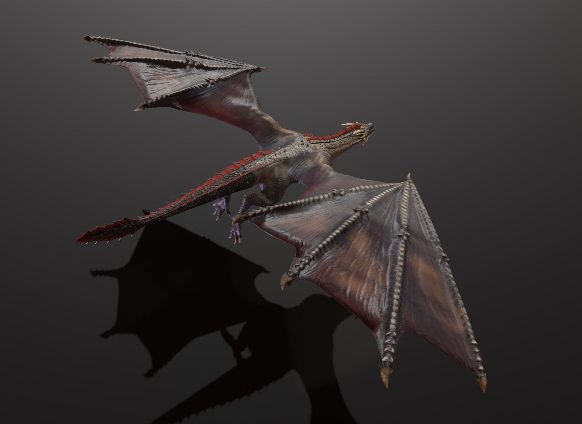 Realistic Black Wyvern Animated 3D Model Low-poly 3D model_6