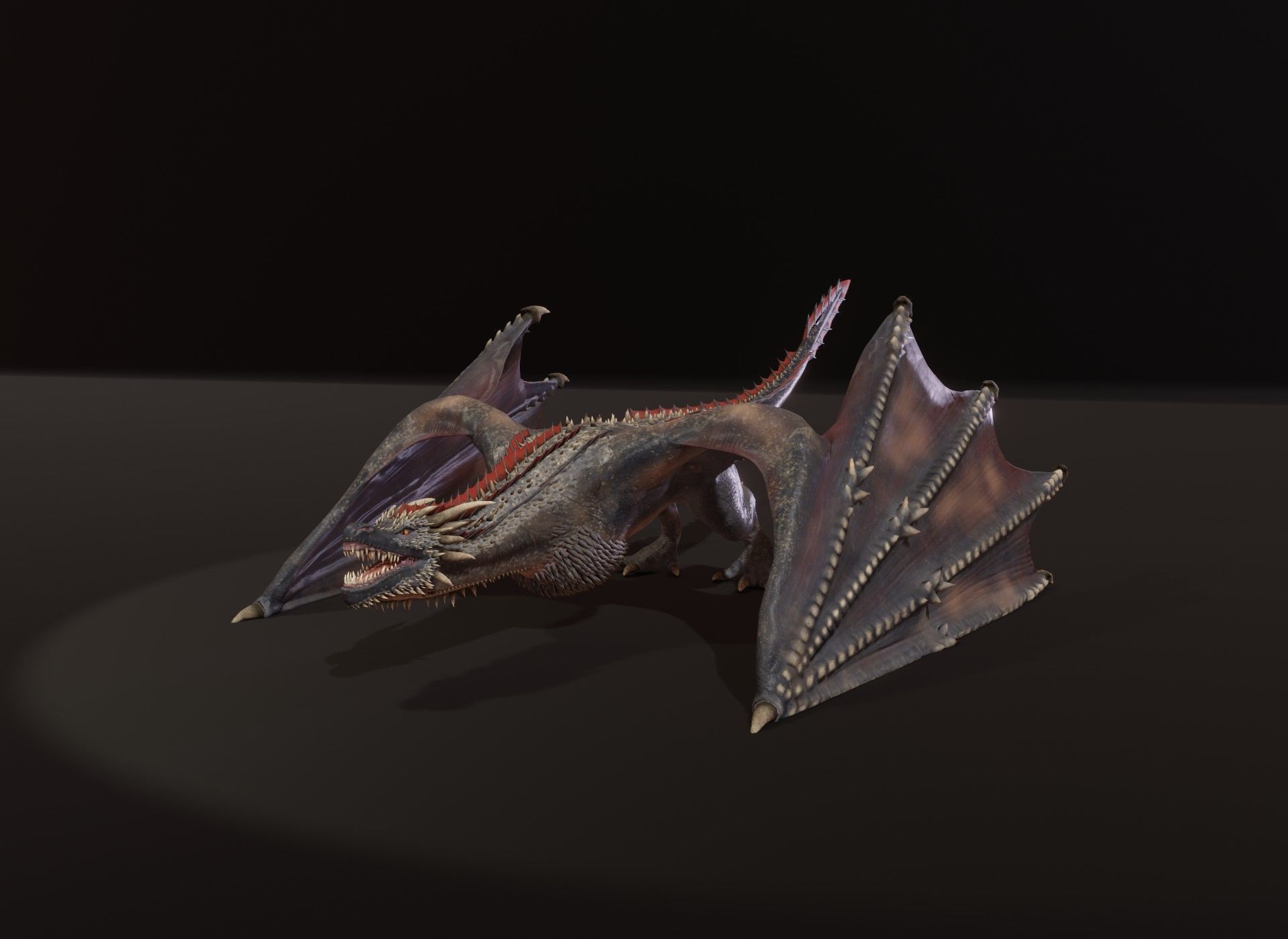 Realistic Black Wyvern Animated 3D Model Low-poly 3D model_19