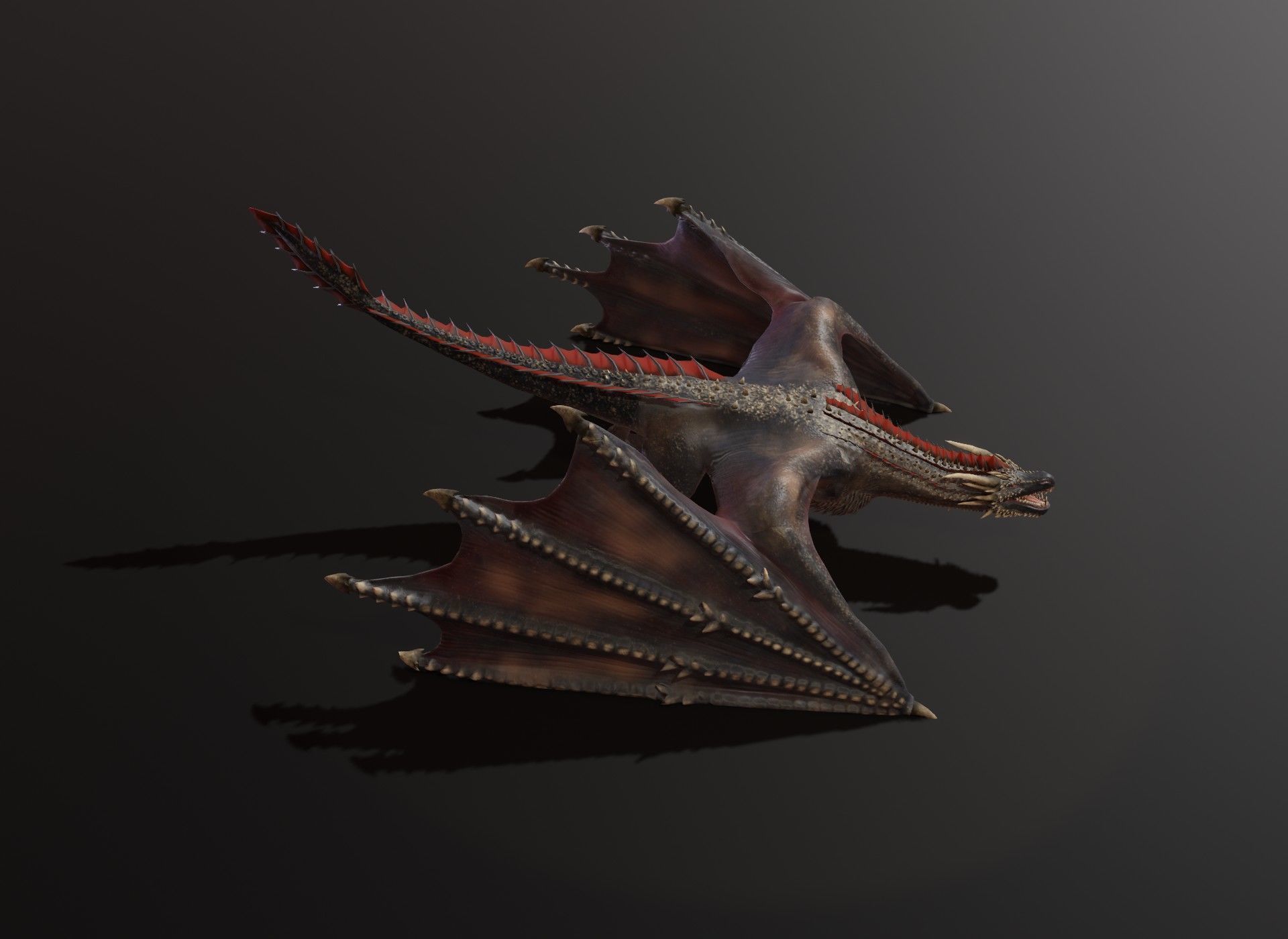 Realistic Black Wyvern Animated 3D Model Low-poly 3D model_22