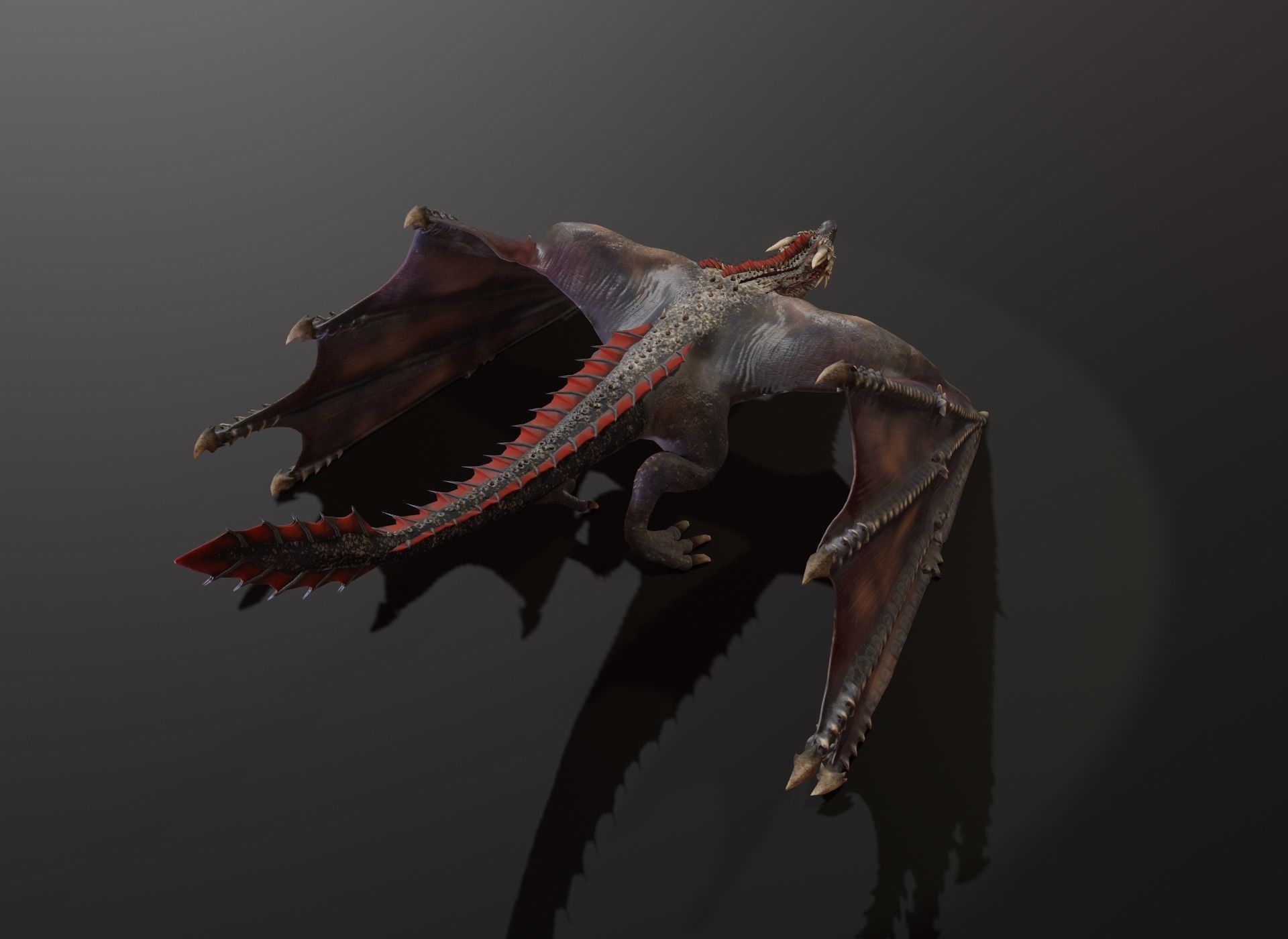 Realistic Black Wyvern Animated 3D Model Low-poly 3D model_21