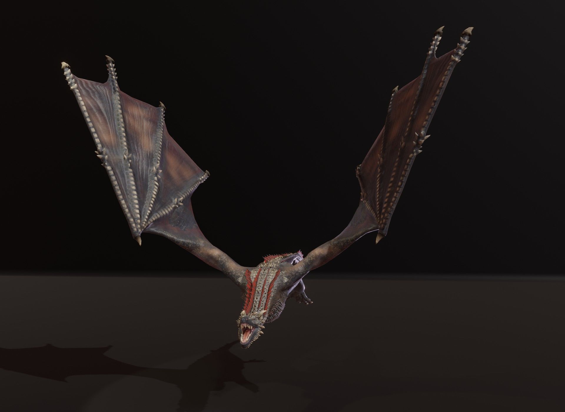 Realistic Black Wyvern Animated 3D Model Low-poly 3D model_13